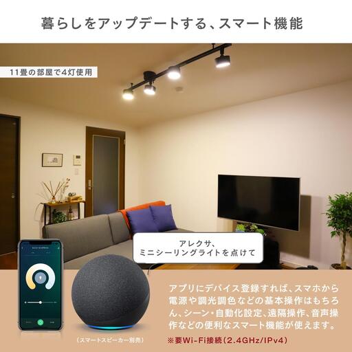 エジソンスマート ミニシーリングライト 引掛けシーリング用 福岡市【カラー選択可】 ホワイト