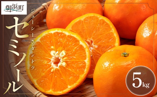 【2027年発送先行予約品】ジューシーさダントツ！ミカファームのセミノール5キロ【数量限定 果物 フルーツ みかん セミノール デザート 5kg 三重県 御浜町】