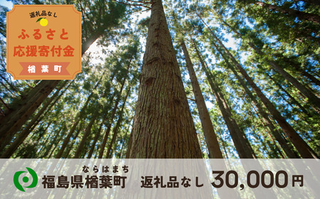 【返礼品なしの寄附】福島県楢葉町 1口：30,000円 ［福島県 福島 楢葉町 寄附 おうえん 応援 しえん 支援 応援寄付金 寄付のみ 返礼品なし 返礼品なしの寄付 30,000円］
