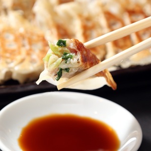 餃子研究所　女餃子×6パック (a11-147)