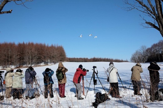 鶴居村モール温泉HOTEL TAITO宿泊券「1泊2食付　写真家和田正宏撮影ガイドプラン(1名様)」