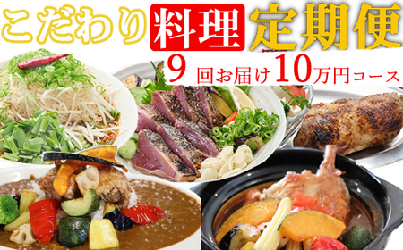海土がお届けする定期便(９回発送)　10万円コース　かつおのたたき 鰹 カツオ カレー たんたん麺 小分け 担々? 鶏肉 惣菜 冷凍 冷蔵 100000円 スープカレー ご自宅　kd036