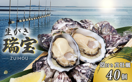 瀬戸内海産 殻付き牡蠣 「瑞宝（ずいほう）」＜40個入り＞ 生食可 真ガキ シングルシード 養殖 生牡蠣
