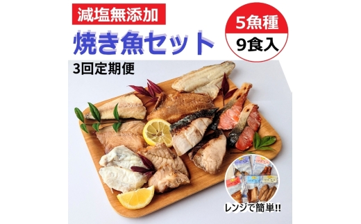 【定期便】レンジで簡単 焼き魚セット 全3回｜ 焼魚 魚介類 魚貝類 海鮮 シーフード 水産加工 鰤 ぶり 河豚 ふぐ 鯖 さば 鮭 さけ サーモン しゃけ 詰め合わせ セット 夕飯 ご飯 簡単調理 簡単ご飯 石川県 七尾市 能登