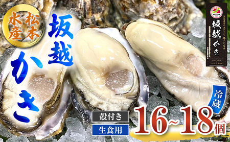 牡蠣 生食用 坂越かき 殻付き 16～18個 松本水産 [ 生牡蠣 真牡蠣 かき カキ 冬牡蠣 ] 魚貝類 名水百選 天然記念物 生島樹林 栄養 海 ミルク 濃厚 旨味 厳選 新鮮 