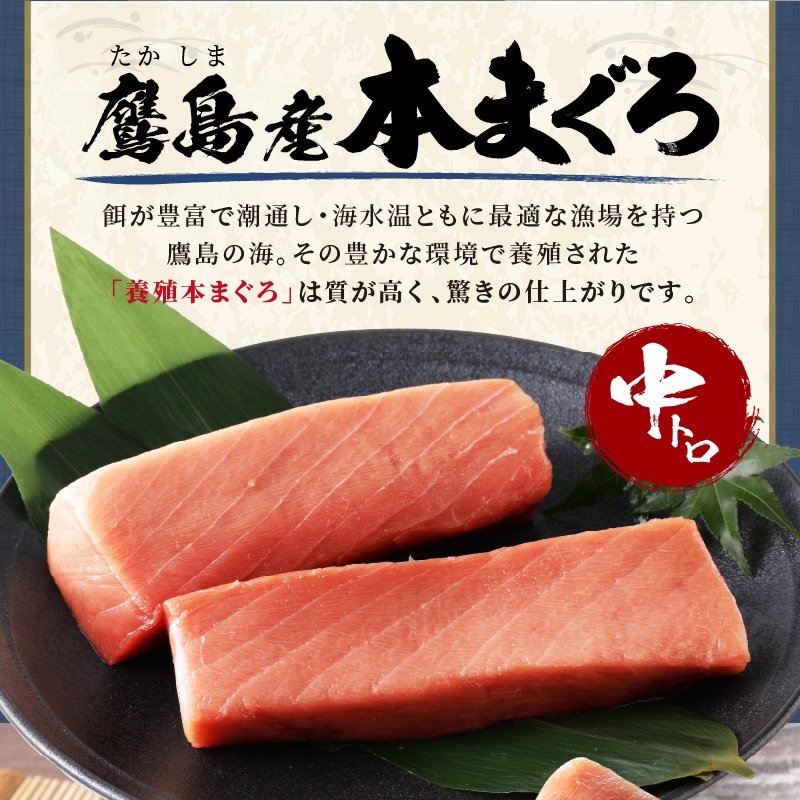 鷹島産本まぐろ 中トロ400g(まぐろ丼たれ付き)( マグロ まぐろ 鮪 本まぐろ 本マグロ 中トロ 切り落とし )【C0-024】
