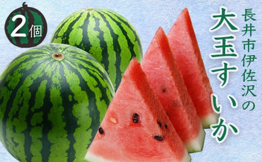 
            【2026年発送】長井市伊佐沢の大玉すいか約8～11kg×2玉_H054(R8)
          
