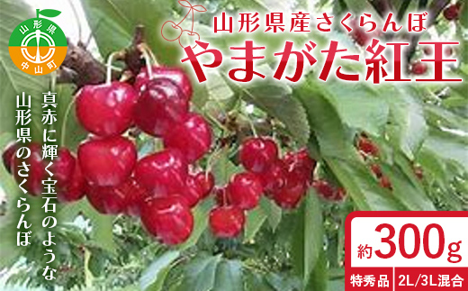 令和9年産【先行受付】山形県産さくらんぼ＜やまがた紅王＞特秀品　300g　2L/3L詰合せ 果物 くだもの フルーツ 夏果物 サクランボ F4A-1042