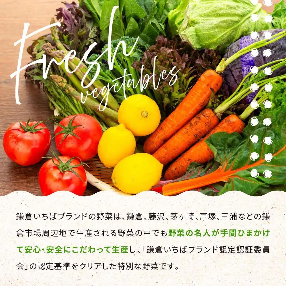 【ふるなびWEEK対象】「鎌倉いちばブランド」新鮮お野菜詰め合わせセット 10～15品 | 野菜 人気 詰合せ