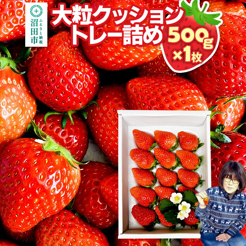 【ふるさと納税】《2026年1月上旬〜2月上旬発送》大粒クッショントレー詰め「やよいひめ」500g×1枚 山口いちご園 苺 イチゴ いちご