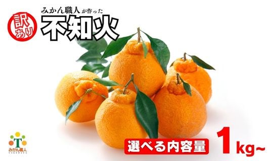 
            【選べる内容量】 訳あり 不知火 1kg 3kg 5kg  【発送期間：2月中旬～なくなり次第終了 】 しらぬい かんきつ 柑橘 みかん 蜜柑 でこぽん おやつ きず 傷 ふぞろい 不揃いフルーツ 果物 くだもの 果実 愛媛県 愛南町 みかん職人武田屋
          