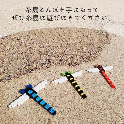 ふるさと納税 糸島市 一号機 : オニヤンマ 糸島市/糸島とんぼ[APK001] |  | 02