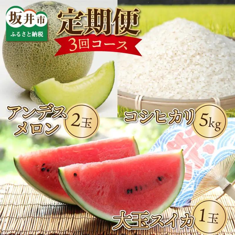 【先行予約】【定期便 3回コース】 大玉スイカ 1玉 ＋ アールスメロン 1玉 ＋ 坂井市産コシヒカリ 5kg【2027年6月上旬より順次発送予定】[C-3218]