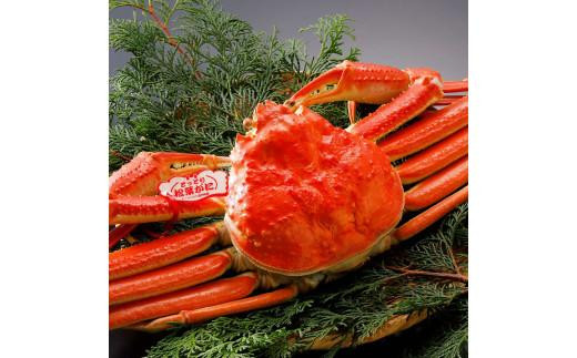 【2025年11月発送】特撰 松葉がに（茹）【ブランドタグ付き】700g超のサイズ  3杯