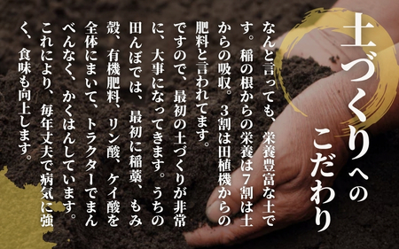 令和7年度産米【お米ソムリエのお米】特別栽培米コシヒカリ 精米 5kg（5kg×1袋） エバーグリーン農場