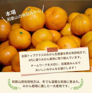 有田みかん こだわりの完熟 6kg＋150g(傷み補償分) ｜ みかん