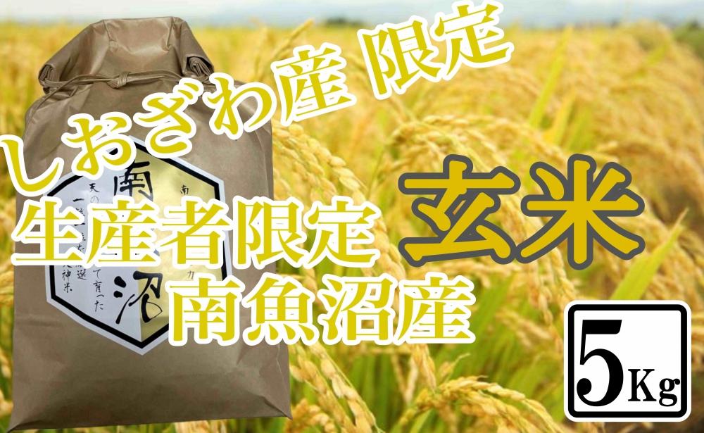【令和7年産】【5kg】玄米 しおざわ産限定 生産者限定 南魚沼産コシヒカリ【銘柄米 ブランド米 玄米 こしひかり コシヒカリ 魚沼産 新潟米 産地直送 お米 米 こめ コメ ご飯 御飯 ごはん】