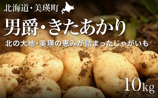 
                  【先行予約】じゃがいも（男爵・北あかり）計10kg <令和8年産 >黒木農場  | 人気 おすすめ ランキング いも 芋 イモ じゃがいも ジャガイモ 男爵 北あかり きたあかり キタアカリ 北海道 野菜[010-211]
                