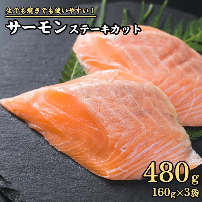 【ふるさと納税】サーモン ステーキカット 480g（160g × 3パック）小分け 鮭 サーモン アトランティックサーモン さけ シャケ しゃけ sake カルパッチョ ソテー レアステーキ 人気 高級 大満足 生食用 刺身 お刺身 刺し身 海鮮 冷凍 ob-f-24
