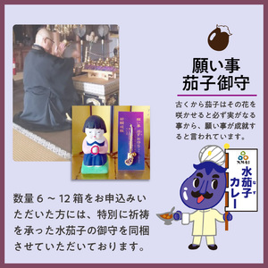 大阪産（おおさかもん）泉州水なすカレー 12箱 【御守つき】（レトルト 常温 簡単調理 レトルト食品 レトルトカレー かれー カレー カレールウ カレールウセット カレールー カレールーセット 人気カ