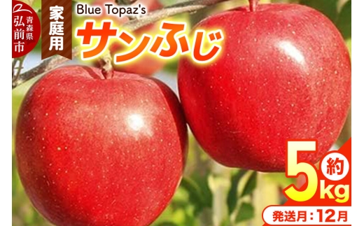 【26年12月発送】りんご サンふじ【家庭用】約5kg 青森県 弘前市 [先行予約 アップル おいしい ふじ りんご 果実 果物 赤色 津軽 糖度 美味 林檎]
