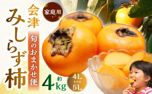 会津みしらず柿 旬のおまかせ便 （ 4Lまたは5L ） 約4kg 家庭用 果物 フルーツ 果実 果肉 果汁 国産 福島県産 【 2026年11月上旬から12月上旬発送予定 】