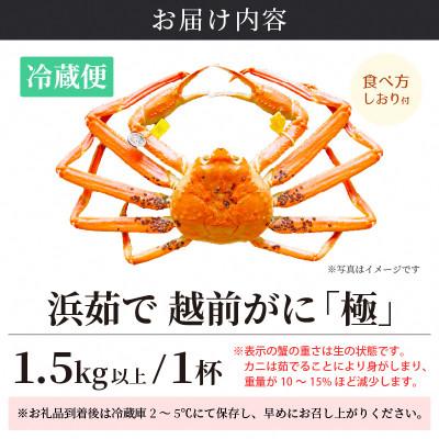ふるさと納税 越前町 ≪浜茹で≫ 越前がに 極 × 1杯【2月発送分】 |  | 03
