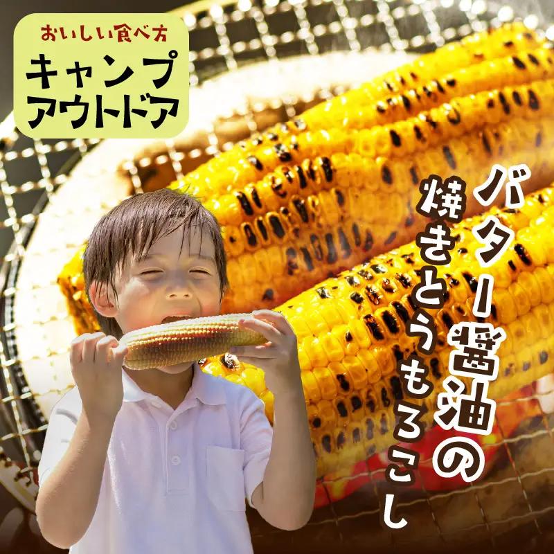 【先行予約】とうもろこし イエローコーン 10本 トウモロコシ