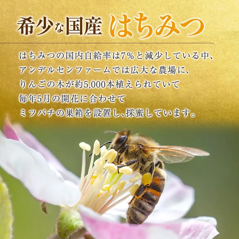 広島アンデルセン　アンデルセンファームのはちみつ（300g×1本） AN008_013