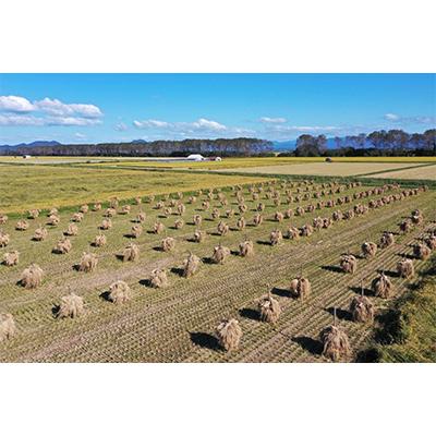 ふるさと納税 大潟村 【お米市場大潟】湖の誉れ あきたこまち(精米)5kg |  | 02