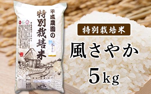 
            長野市産 風さやか 5kg 特別栽培米（平成農園）J0461
          