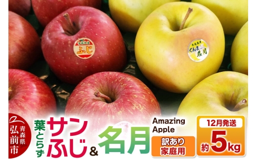 【26年12月発送】りんご 葉取らずサンふじ＆名月 詰め合わせ【訳あり】家庭用 約5kg [りんご サンふじ 葉とらず ふじ 名月 訳あり 家庭用 5kg 詰め合わせ セット アップル おいしい 果実 果物 美味 葉っぱ 林檎 青森県 弘前市]