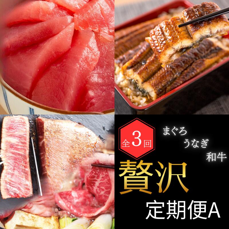 【ふるさと納税】【全3回】まぐろ・うなぎ・和牛を楽しむ贅沢定期便A / 鮪 マグロ 刺身 鰻 ウナギ 蒲焼 熊野牛 肉 牛肉 和牛 黒毛和牛 ヒレ ロース シャトーブリアン ステーキ スライス