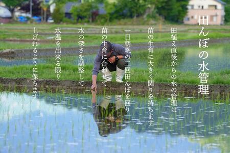 南魚沼食味コンクール３年連続優秀賞　塩沢地区限定米２０kg　令和５年産南魚沼塩沢産コシヒカリ