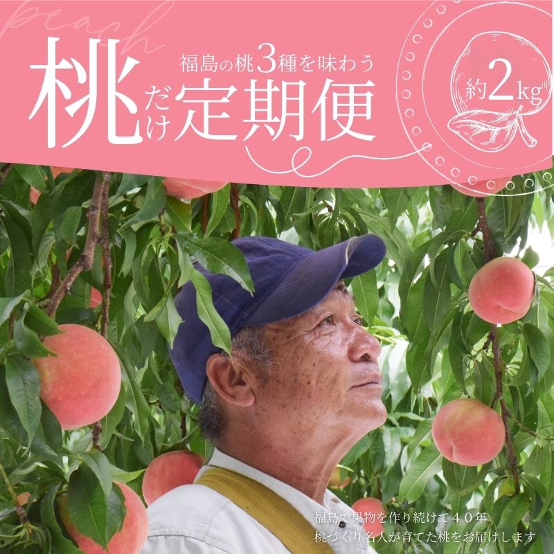 【ふるさと納税】No.2917 福島の桃だけ3種定期便 各約2kg【2025年発送】