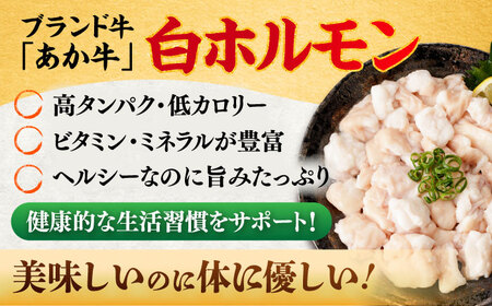【全3回定期便】あか牛 白 ホルモン 約500g (約250g×2P) / 牛肉 褐毛和種 ホルモン 肉 九州産 国産牛 熊本県産 小分け あかうし 鍋 焼肉【五右衛門フーズ】[BHCY010]
