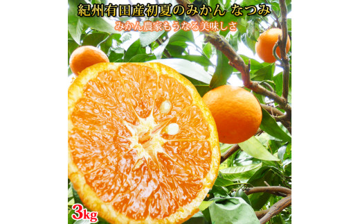 初夏のみかん　なつみ3kg　※2026年4月中旬頃～2026年4月下旬頃に順次発送予定（お届け日指定不可）【uot753A】