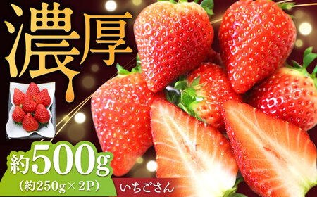【2026年発送 先行予約】いちごさん 約500g（約250g×2パック） / いちご いちご いちご いちご いちご いちご いちご / 佐賀県 / リフルット株式会社 [41ABAA002]