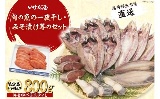 福岡鮮魚市場 海産物バラエティ L [いけだ屋 福岡県筑紫野市 50002]