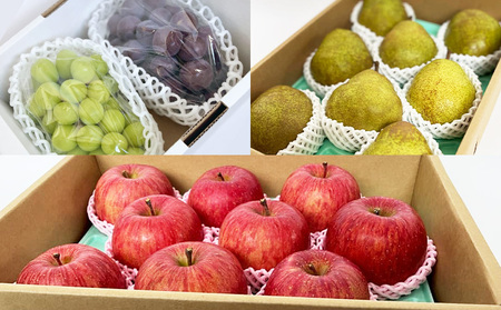 【定期便6回】山形の農家さんが選ぶ！美味しいものスペシャル便【令和8年産先行予約】FS25-107