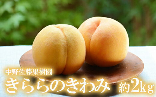 【ふるさと納税】No.2617もも「きららのきわみ」約2kg【2025年発送】