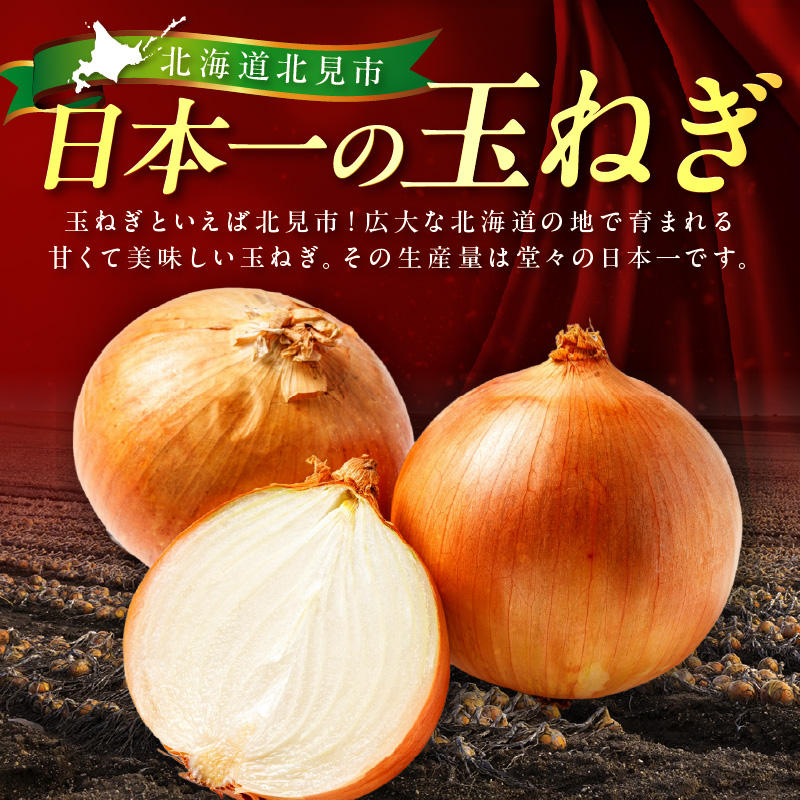 【予約：2025年12月から順次発送】北見市産玉ねぎ使用 味付け薄切り牛タン シャリアピンソース 300g×5個 ( 肉 牛肉 たまねぎ タマネギ 焼肉 )【224-0027】