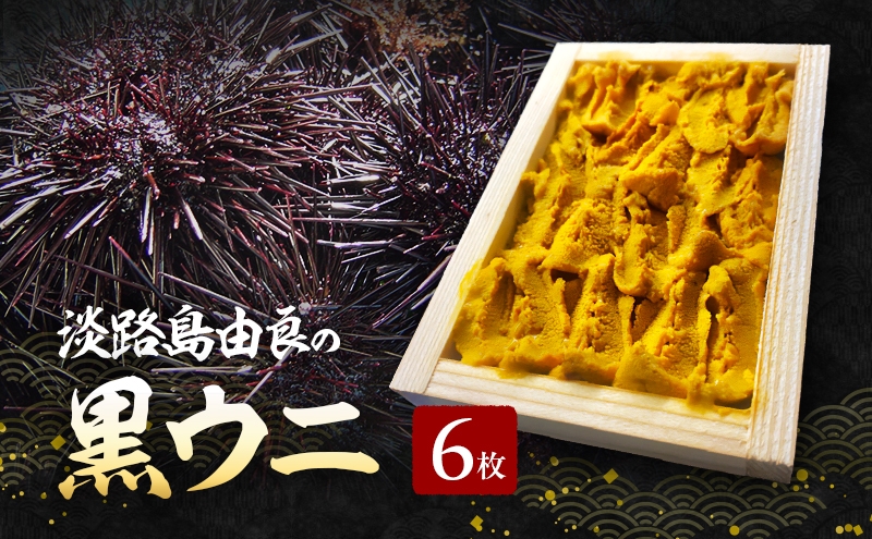 
            淡路島由良の黒ウニ【6枚】3月～5月配送 無添加木箱入り うに 雲丹 兵庫県 洲本市 淡路島 [№5395-0014]
          