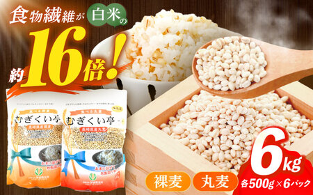 むぎくい亭 (丸麦500g×6・裸麦500g×6) 計6kg / 麦 丸麦 はだか麦 裸麦 麦味噌 雑穀 雑穀米 食物繊維 長崎県産 米 こめ コメ ※ / 諫早市 / 有限会社伊東精麦  [AHBU002] 