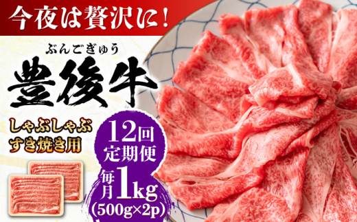 【全12回定期便】おおいた豊後牛 しゃぶしゃぶすき焼き用（肩ロース・肩バラ・モモ）1kg(500g×2) 日田市 / 株式会社MEAT PLUS 牛肉 おおいた豊後牛 おおいた 豊後牛 黒毛和牛 スライス しゃぶしゃぶすき焼き しゃぶしゃぶ すき焼き 和牛 [AREI076]