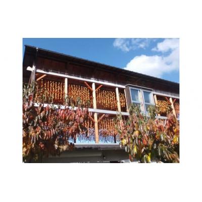 ふるさと納税 松江市 東出雲の畑ほし柿　25個入 |  | 02