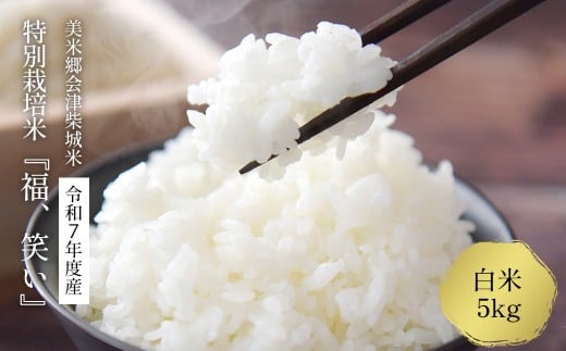 【先行予約】令和7年産　特別栽培米「福 笑い」　5kg　白米　福島県トップブランド米　美米郷会津柴城米【07208-0440-C】