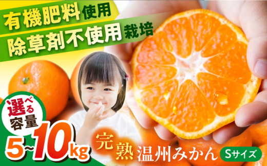 【選べる容量！】温州みかん Sサイズ 津久井浜みかん 蜜柑 ミカン 果物 柑橘 みかん フルーツ 横須賀【志村農園】 [AKGH001]