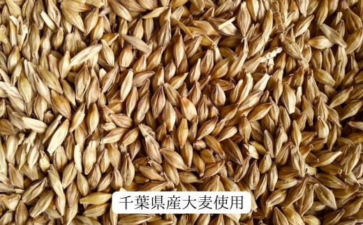 ちば麦茶40ティーパック入り 12個 12個（10g×40袋） 