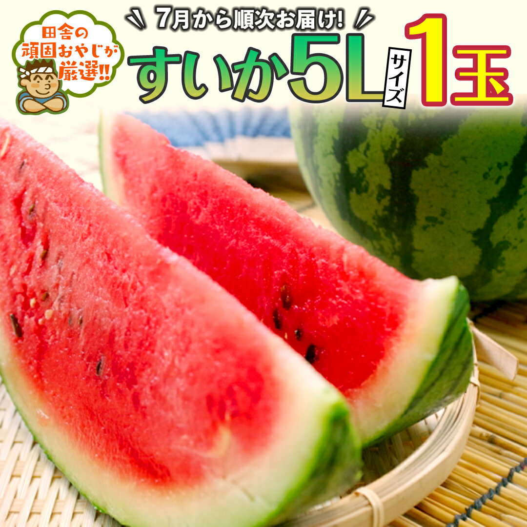 【ふるさと納税】 すいか 5L【2025年7月より発送開始】田舎の頑固おやじが厳選！